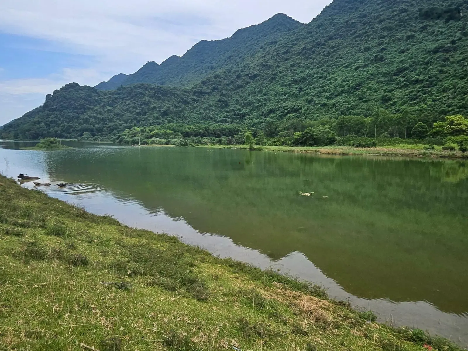 Bán đất lô góc, view hồ tại Yên Thủy, Hòa Bình. Diện tích 2000m2, giá 1,7 tỷ