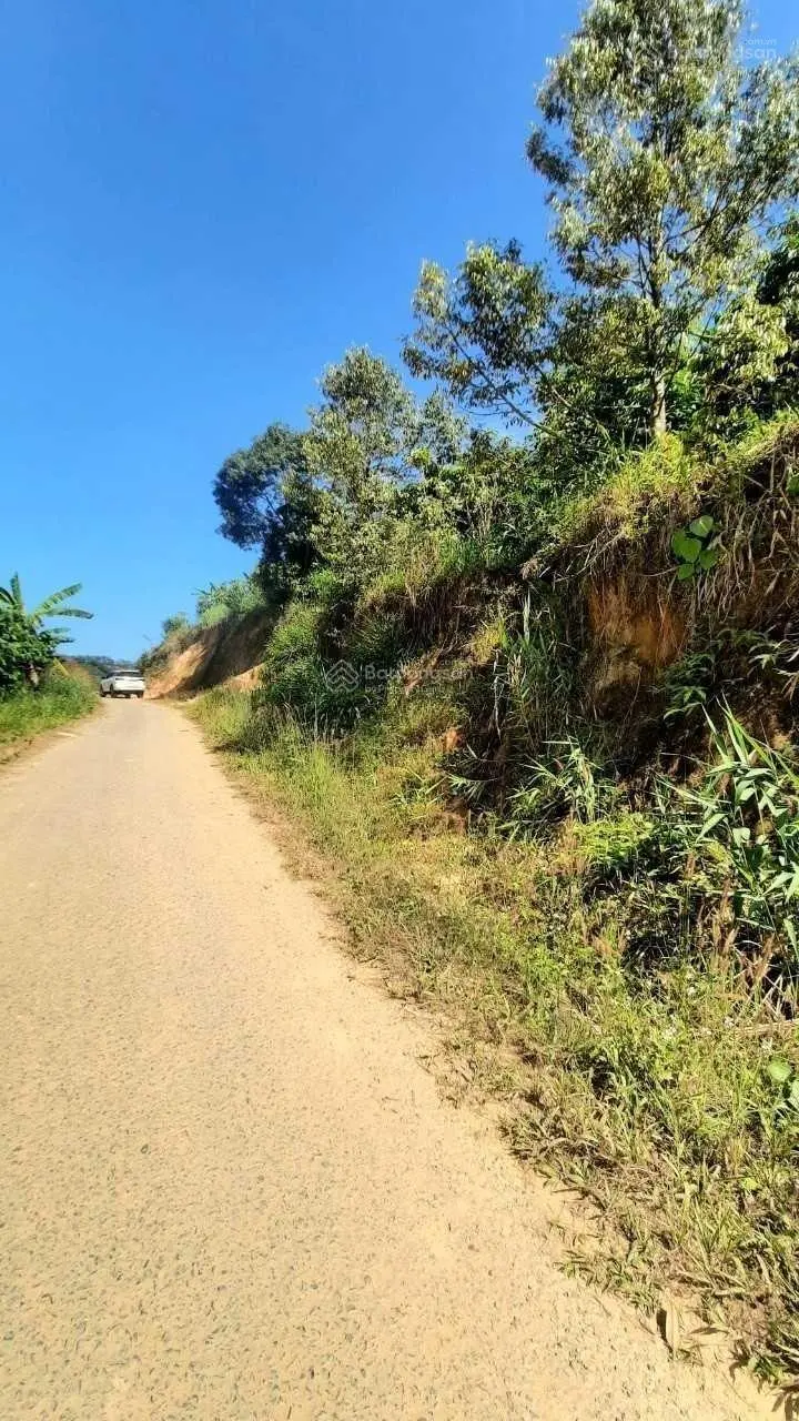 Đất đẹp. Mặt tiền đường lộ nhựa dài hơn 200m. View đẹp. Sổ hồng riêng. Chính chủ: 0909 770 ***