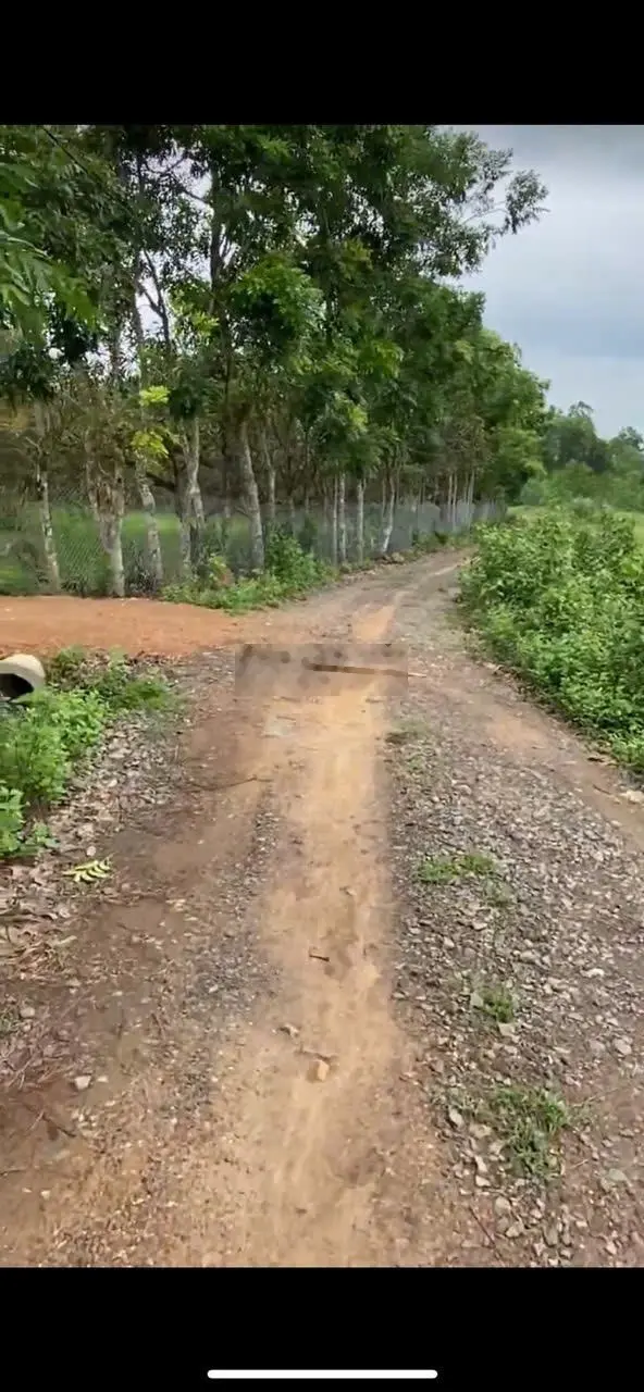 Bán đất DT 1000m, MT 28,30m giá rẻ. View suối chính chủ