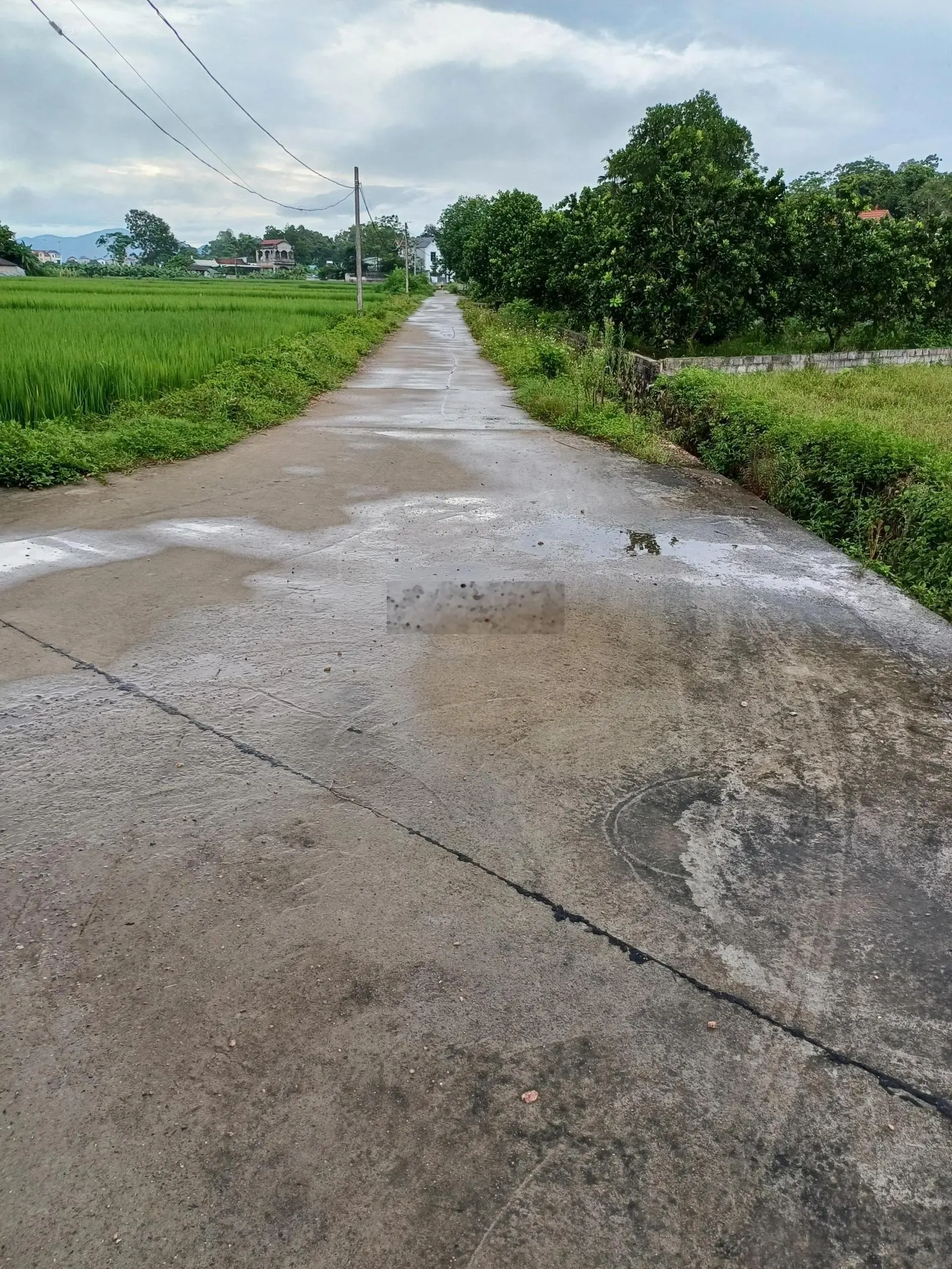 BÁN ĐÂT: DT 575 M 0TN 150 M NAM PHUONG TIÊN CHUONG MY HN - HÓT: muôn bán luôn và ngay lô đất 2 mật