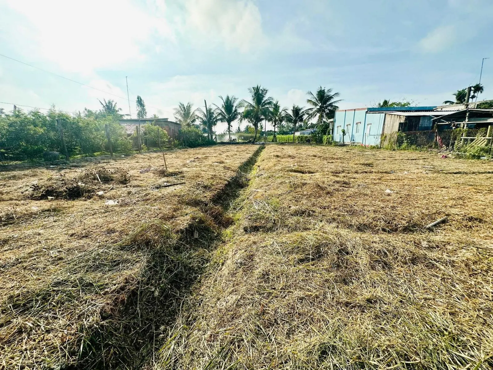 Bán đất chính chủ 1,000m2 - MT đường liên xã, gần UBND xã Long Thới, Chợ Lách, Bến Tre