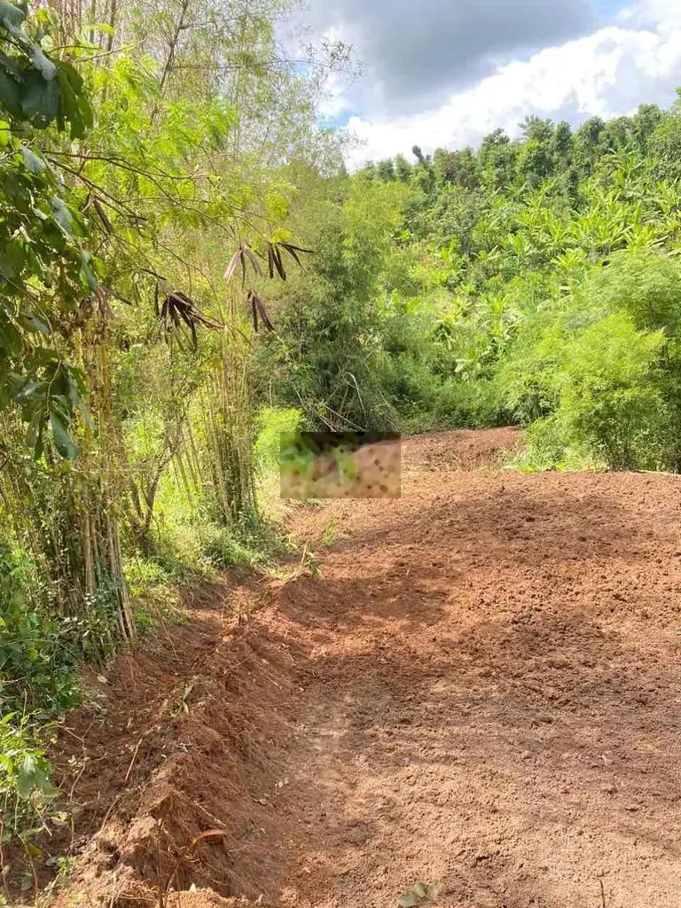 Bán đất 1 sào thôn 6 - cư êbur - cách trung tâm tp.bmt 4km