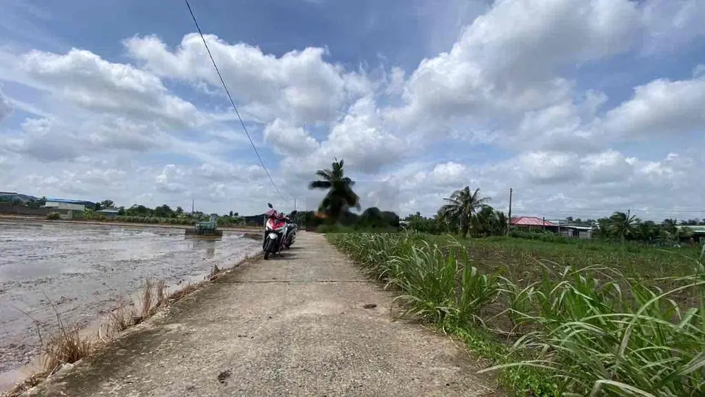 Trần Thị Bông - Quê Mỹ Thạnh . Cách QL1A 5km