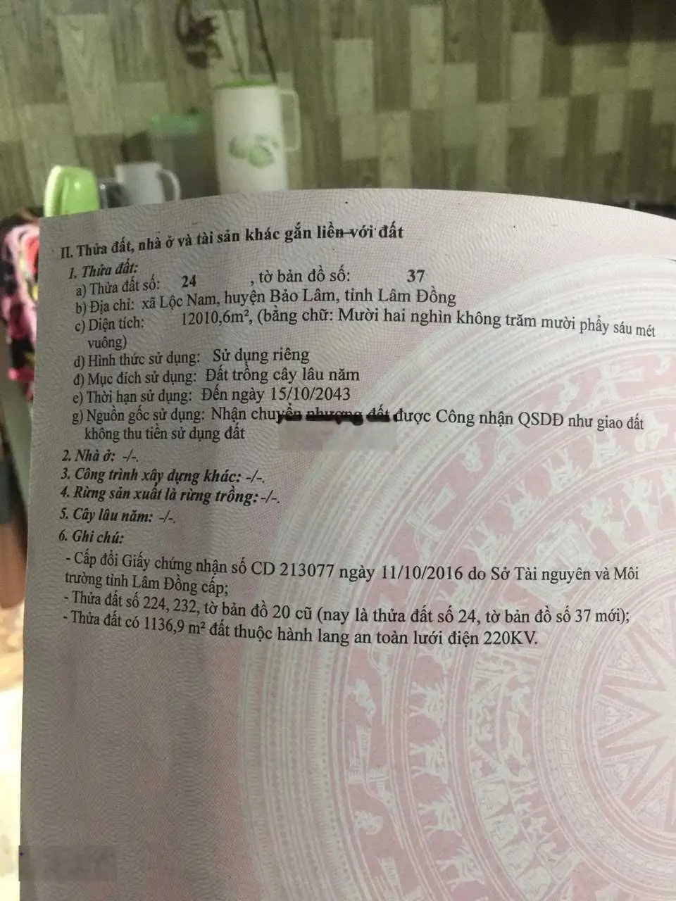 1,2 hecta đất sầu riêng cần bán tại Lâm Đồng. Liên hệ chủ 0931 100 ***