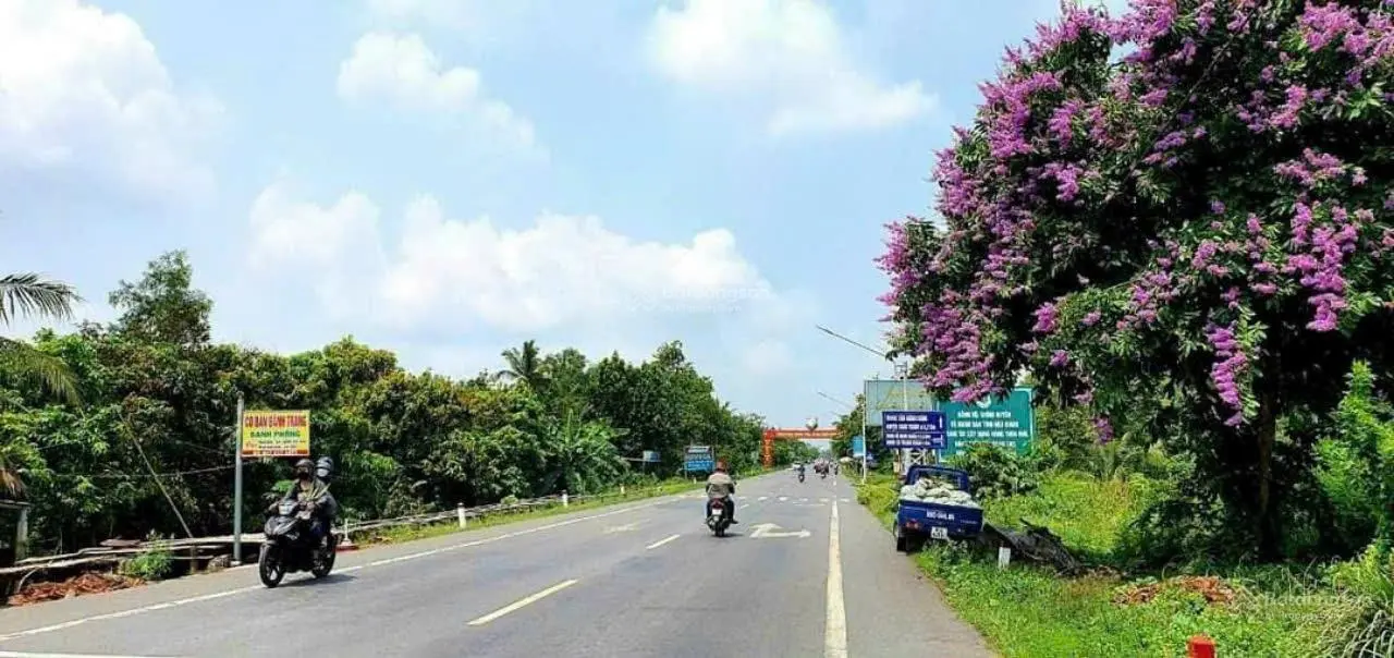 Tôi cần bán mặt tiền Quốc lộ 61C Hậu Giang, kinh doanh, buôn bán, kho bãi cho thuê thu nhập tốt