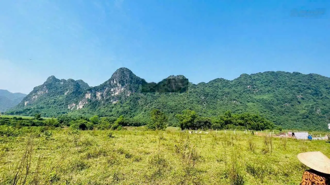 Cần bán tại Hưng Thi, Lạc Thuỷ, Hoà Bình. Diện tích 3483m2