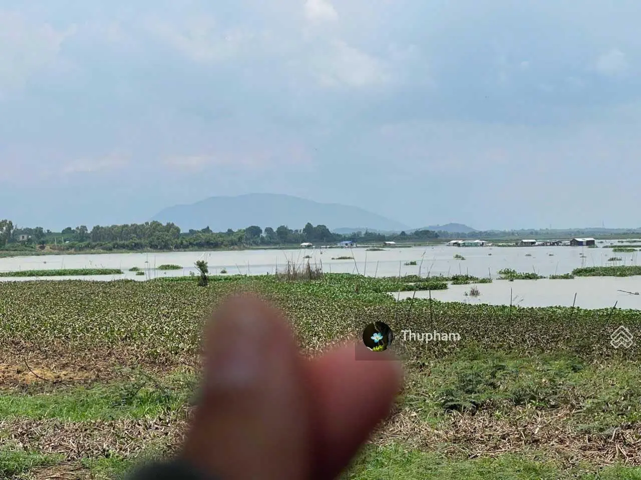 Đến nơi có gió: Mảnh đất thơ mộng bên hồ trị an La Ngà, 698tr/1000m2 nơi trọn vẹn niềm yêu thích