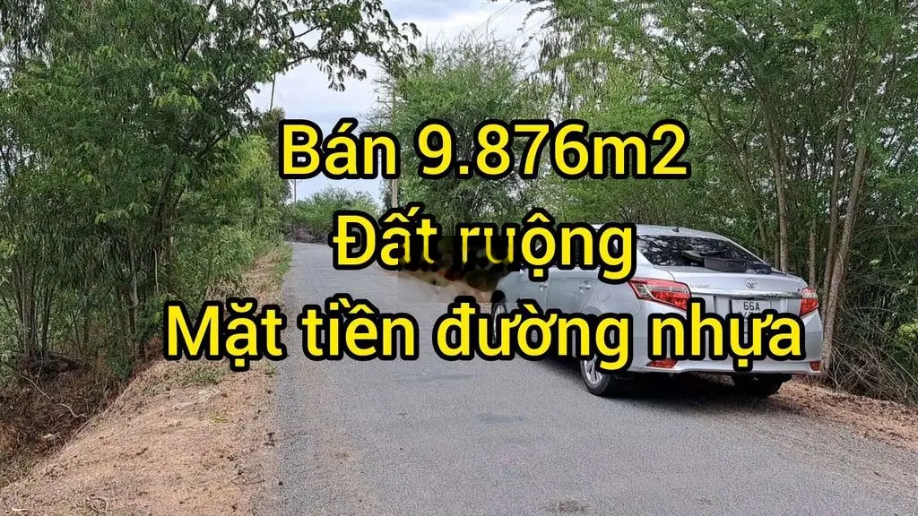 Đất ruộng đồng tháp 9.876m2 mặt tiền đường nhựa