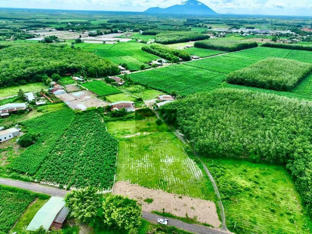 full thổ cư 350m2, view sông Vàm Cỏ Đông