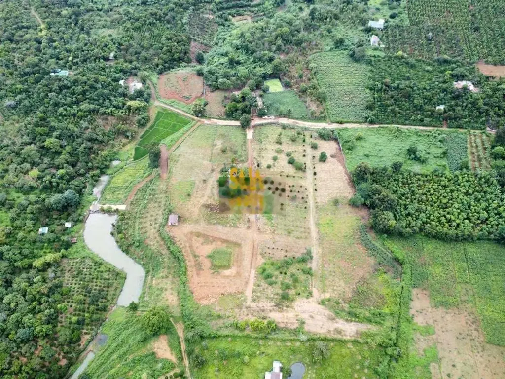 Siêu phẩm 3,1 ha view hồ Eakao view dãy đồi siêu hiếm 7,4 tỷ/ha