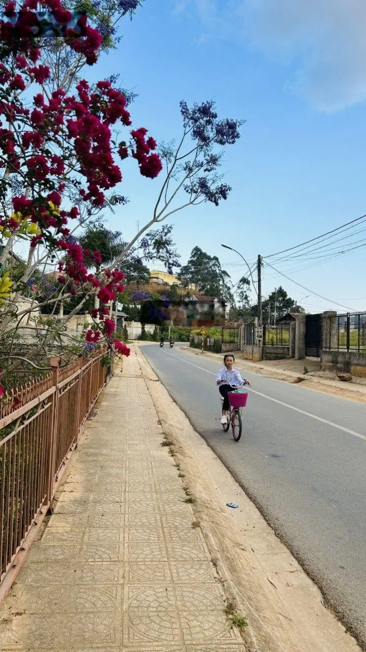 Đất đẹp ngay cổng chào Lạc Dương, cách trung tâm Đà Lạt 10km