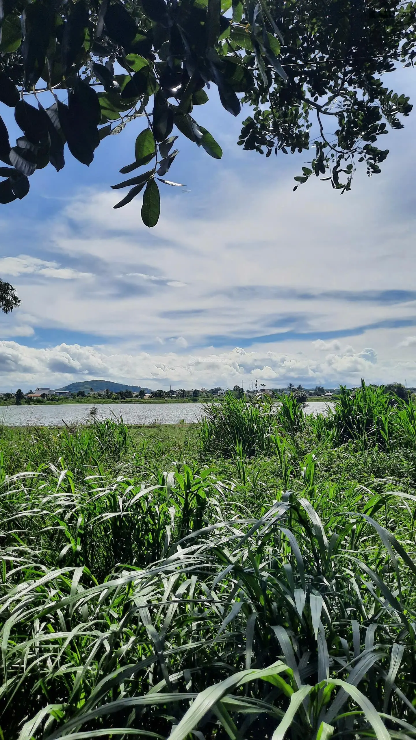 1 lô duy đất view hồ Nam Sơn, Liên Nghĩa, Đức Trọng, lâm đồng!