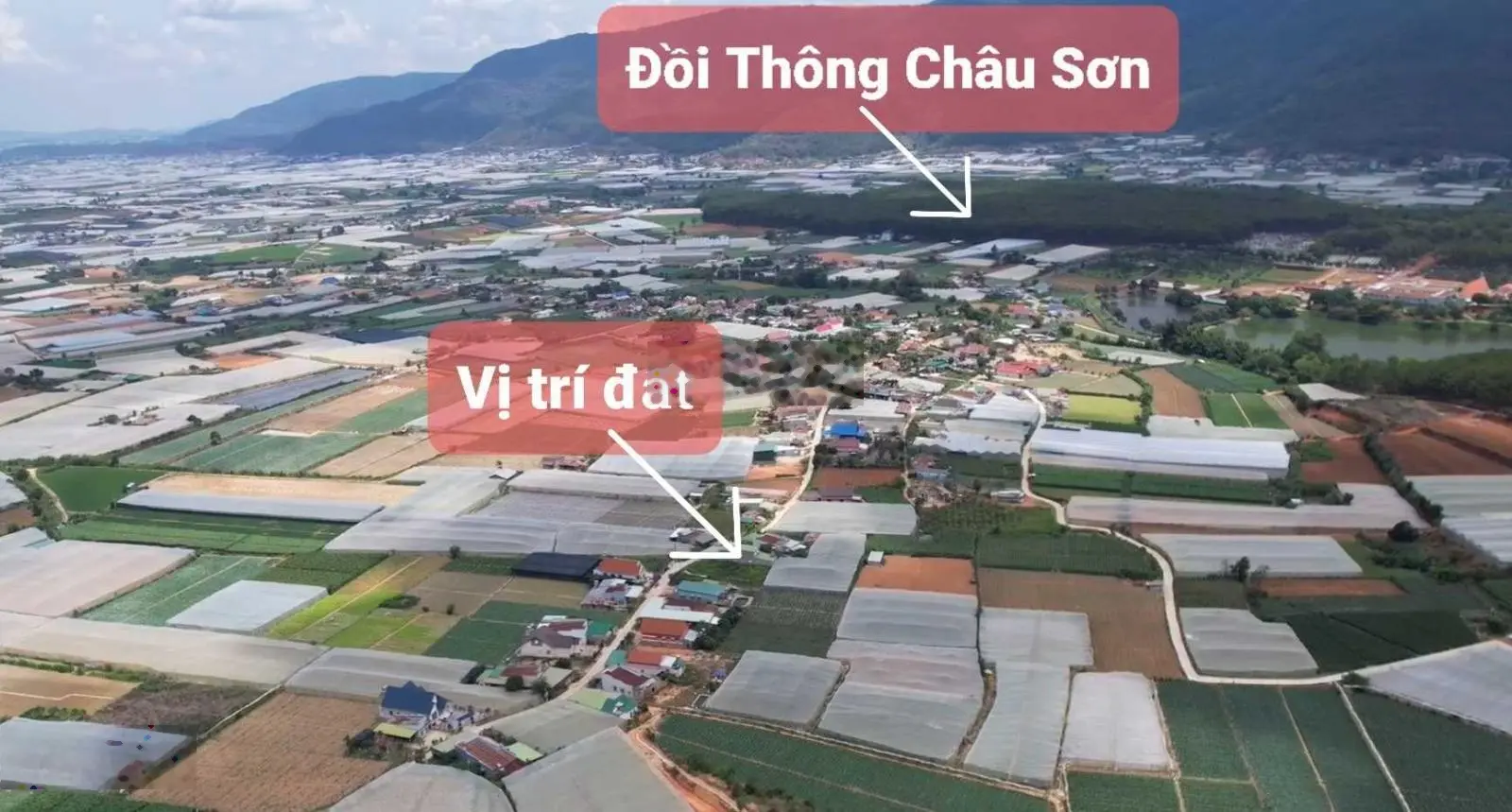 Bán khu đất rộng, thổ cư view đồi thông Châu Sơn, xã Lạc Xuân, Đơn Dương. Giá sỉ