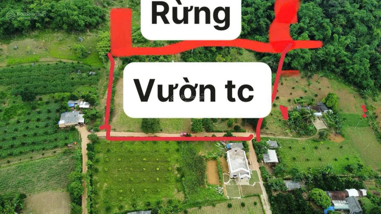 CC bán 2,1HA siêu phẩm đất bám đường BT _suối trong đất tại Yên Thuỷ Hoà Bình_4,x tỷ0969 065 ***