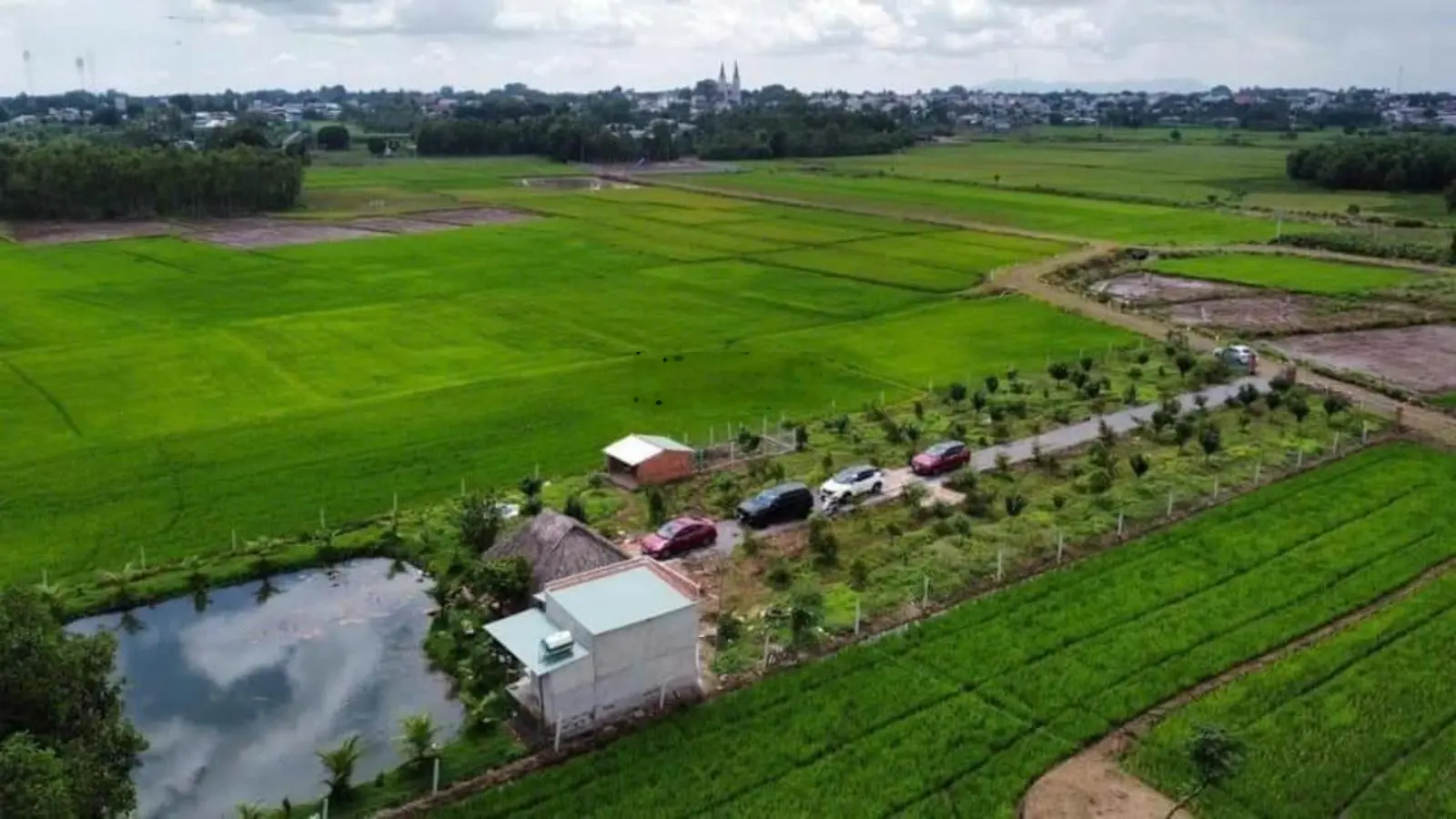 Bán hơn 2.6 sào nhà vườn bình trung - châu đức có sẵn nhà và ao cá, cây ăn trái chỉ 2.x tỷ