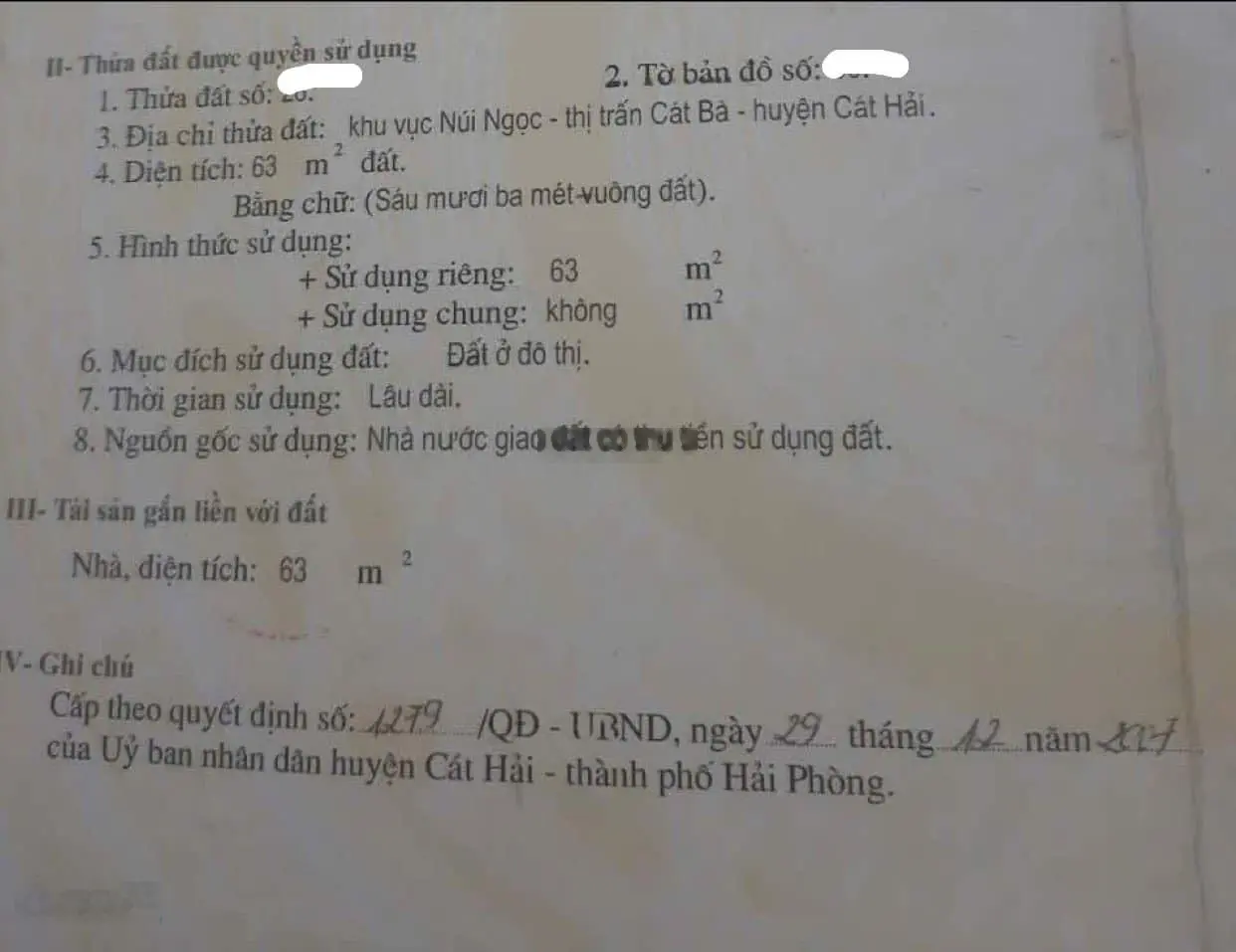 Bán đất 63m2 mặt đường Núi Ngọc, TT Cát Bà, Cát Hải, Hải Phòng. Tặng luôn nhà 2.5 tầng