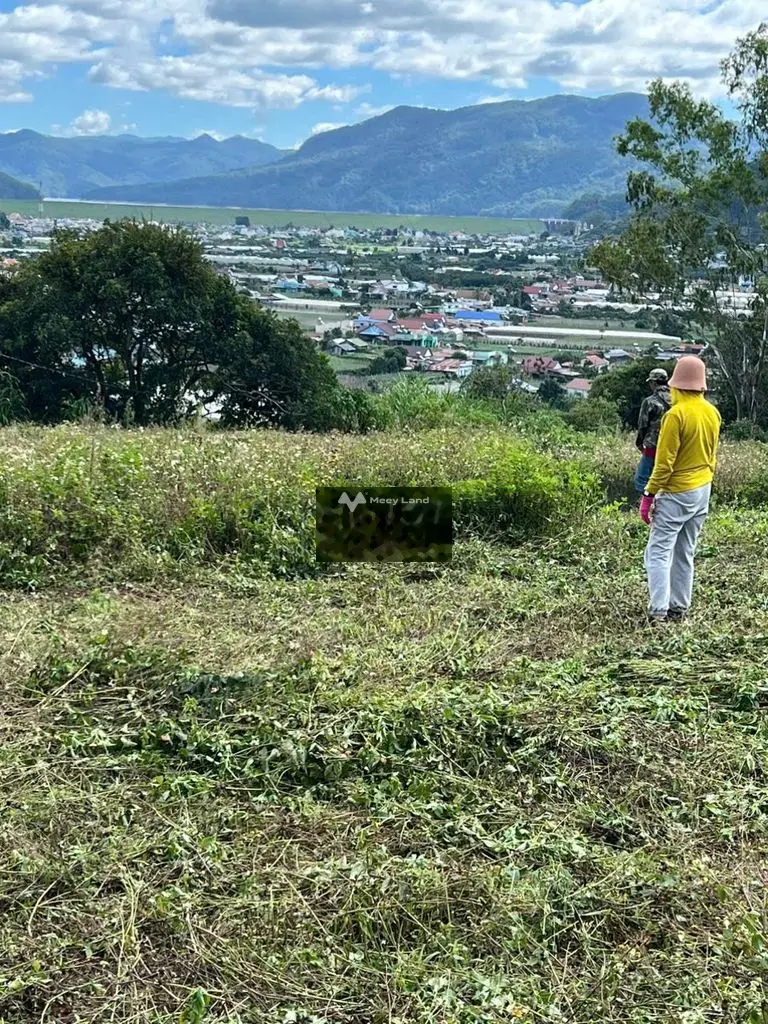 Cần bán lô đất vườn tiện làm nhà kính trồng bông .