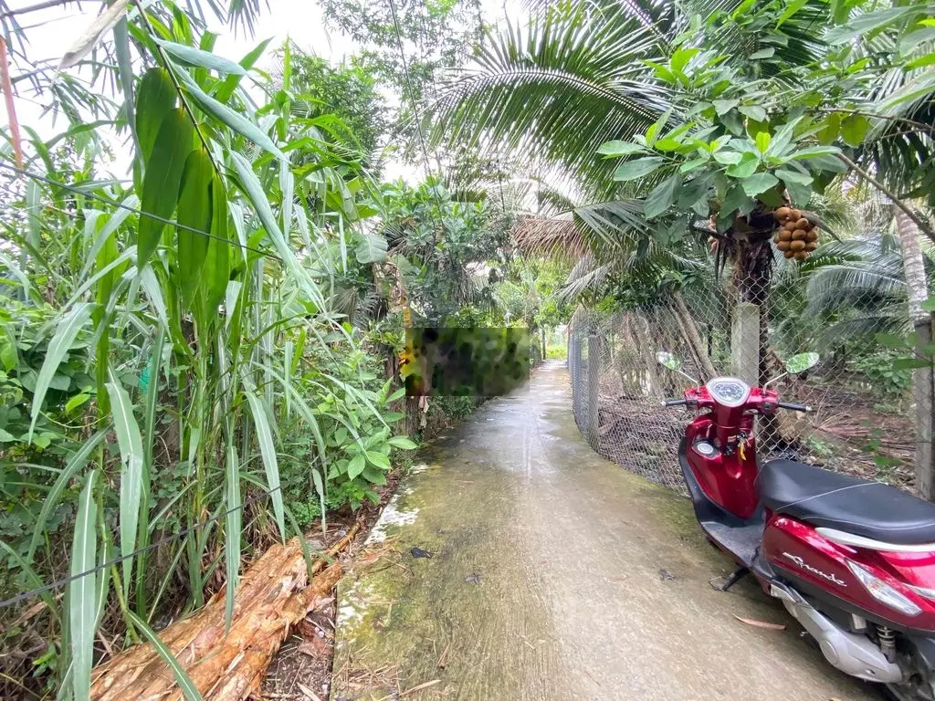 Bán đất giá rẻ, trung an, mỹ tho, tiền giang.