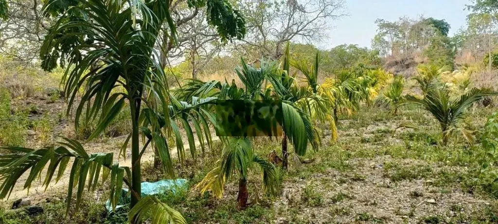 ✅4,2 sào View sông tại Tân Hoà Buôn Đôn