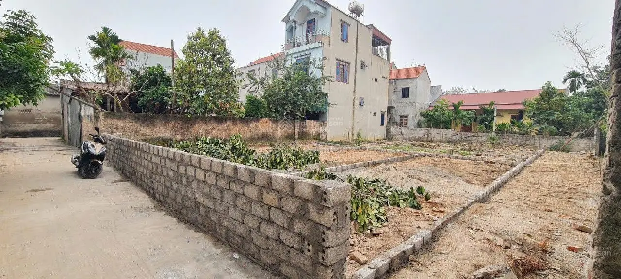 Chính chủ bán 3 lô đất diện tích 55,4m - 58,5m2 Vị trí thôn Mạch Kỳ, Hồng Dương, Thanh Oai