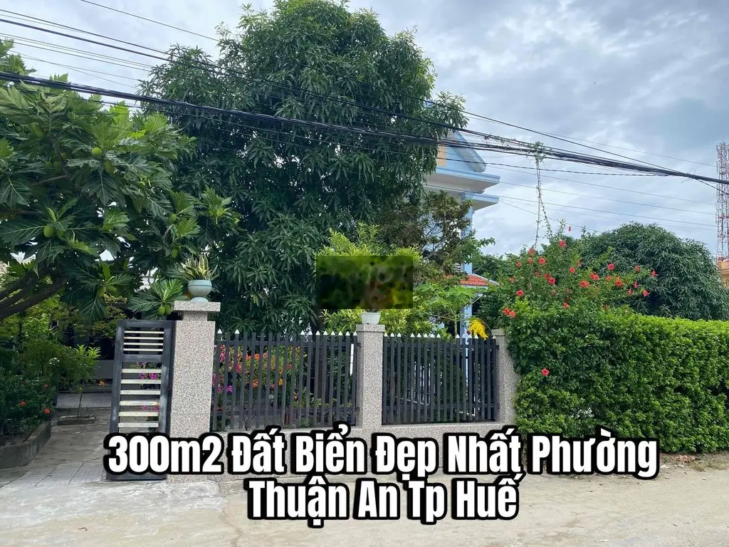 Mặt Tiền Trục Chính ĐẤT BIỂN THUẬN AN RẤT ĐẸP-300m2 và Cách biển 300m