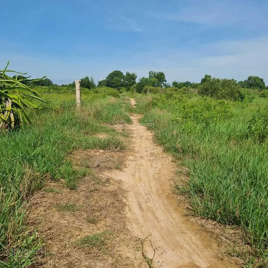 Đất đẹp giá tốt - chính chủ cần bán nhanh lô đất mặt tiền tại xã Hàm Chính, Huyện Hàm Thuận Bắc