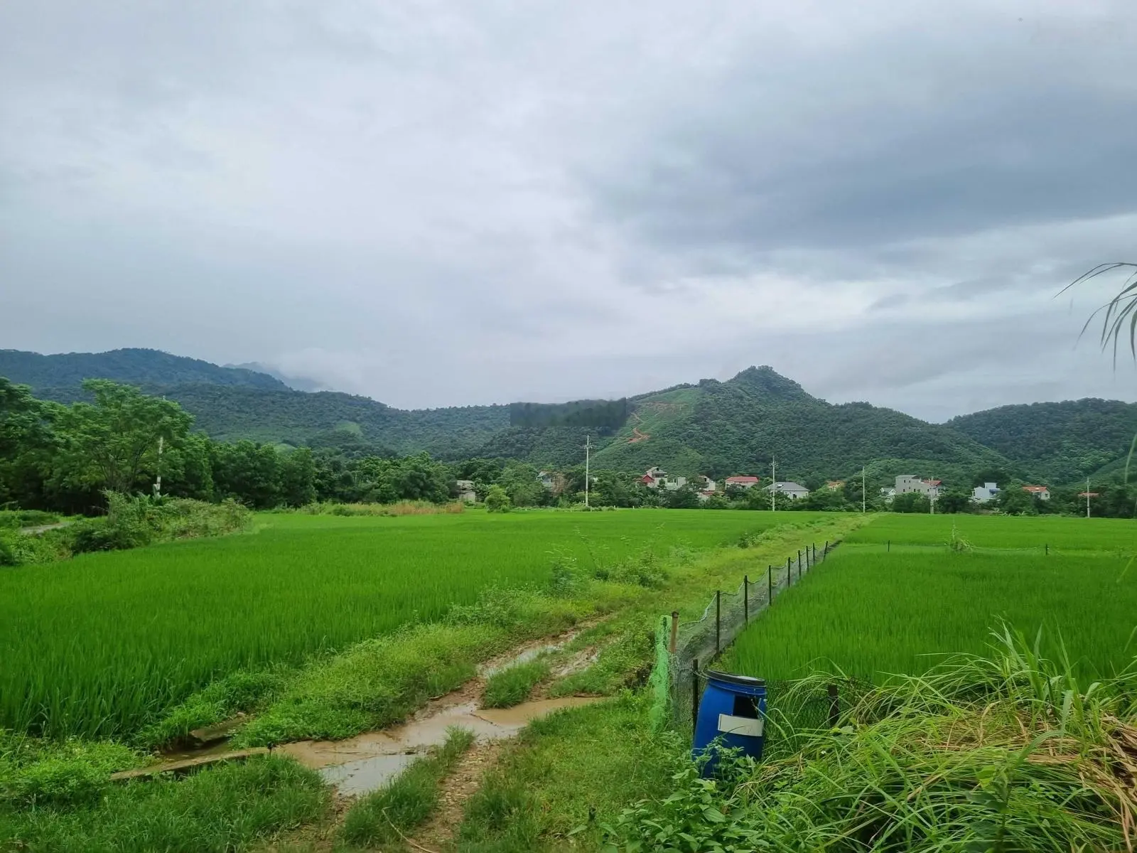 Chính chủ gửi bán lô đất nghỉ dưỡng resort tại Thạch Thất Hà Nội lại gần cao tốc giá trị tiềm năng