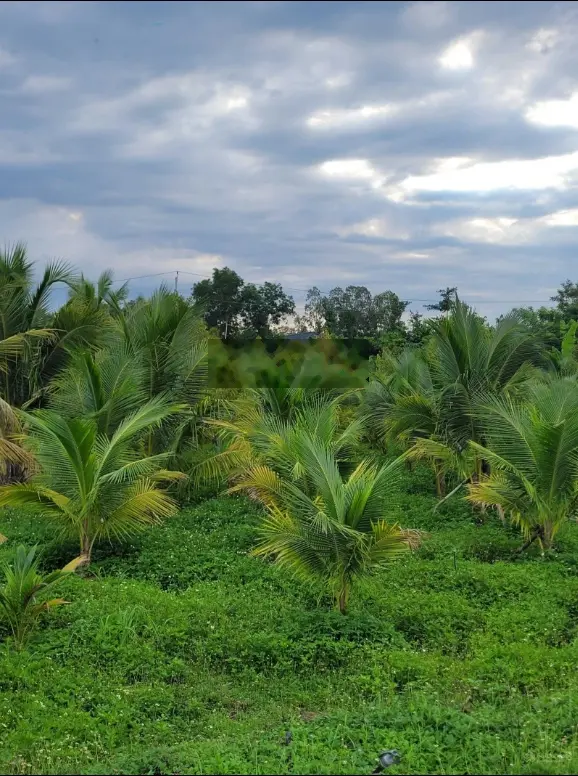 Bán đất 10.000m2 view nhìn ra hồ Đá Bàng thuộc Xã Đá Bạc Châu Đức BRVT