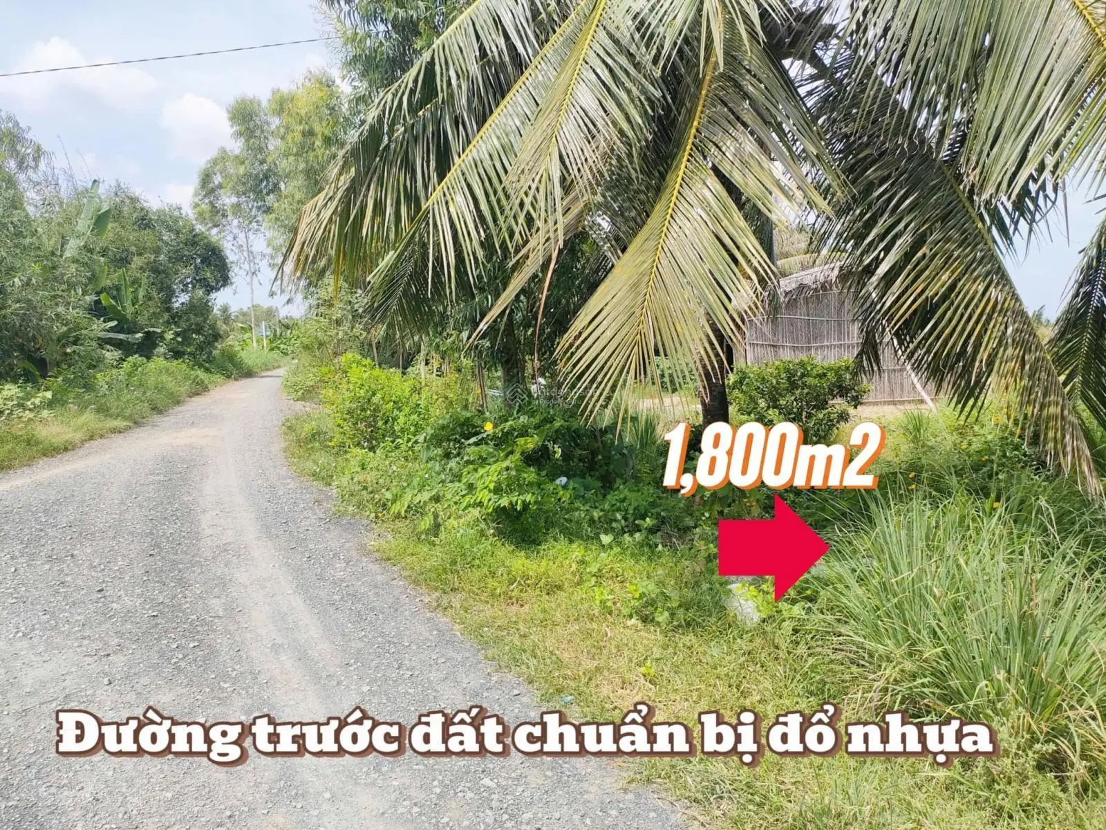 Mặt tiền sông Mê Kông DT: 1,800m2 sẵn 300m2 thổ, giá bán 1 tỷ 199 triệu, cách SG chỉ 70km