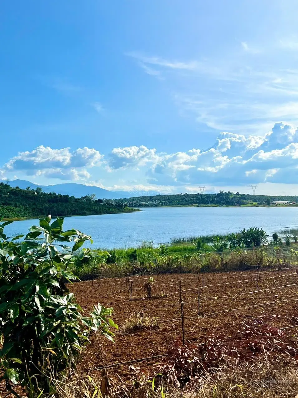 Tôi chính chủ không phải môi giới cần bán đất giáp hồ - chân chạm nước - thổ cư - chỉ 1,34 tr/m2