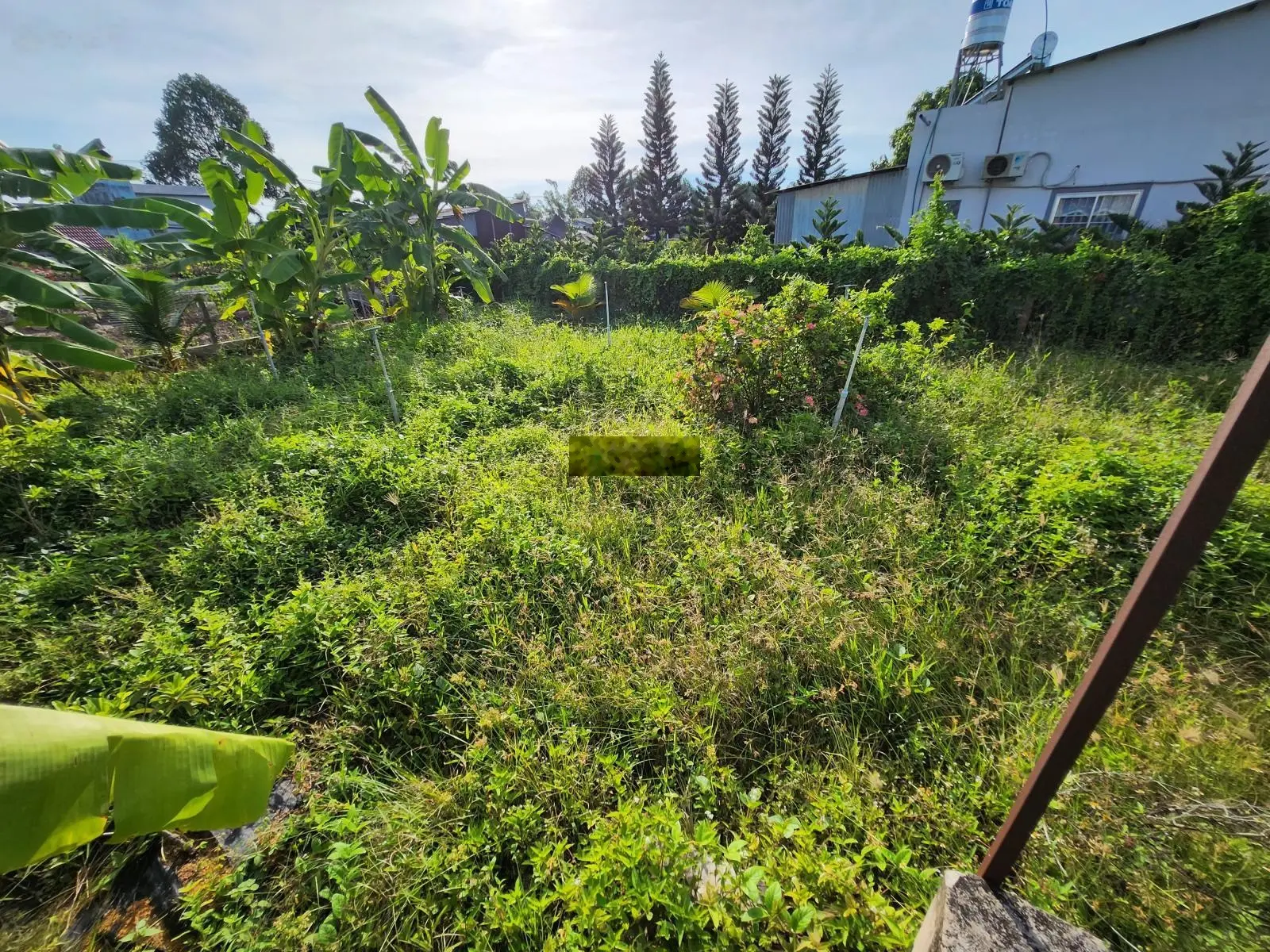 Bán nhà trong trung tâm Làng hoa Sa đéc mặt tiền đường Đoàn Thị Điểm và mặt tiền sông sổ hồng