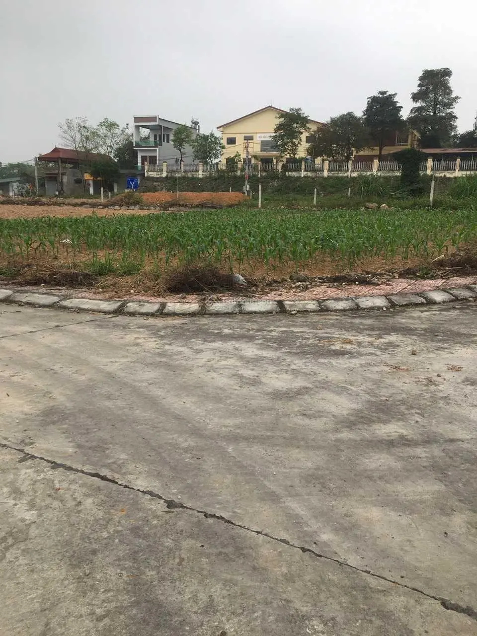 Đấu giá Quang Sơn, 140m2 full thổ cư view trường học