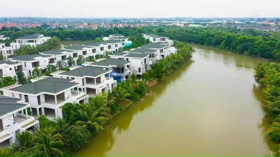 Bán gấp biệt thự Đảo Ecopark DT 500m2, căn đơn lập đã hoàn thiện nội thất xịn đẹp