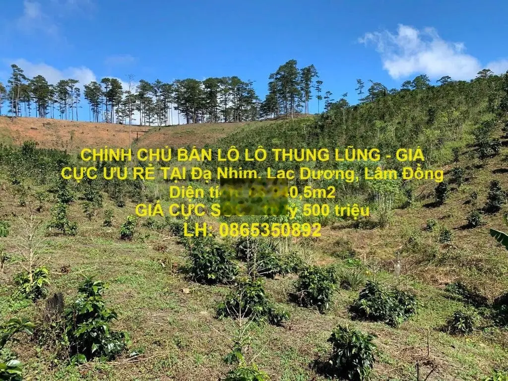 BÁN LÔ THUNG LŨNG - GIÁ CỰC ƯU RẺ TẠI Đạ Nhim, Lạc Dương, Lâm Đồng