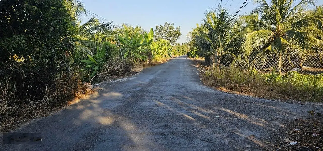 Bán gấp lô đất thổ cư giáp Tân An, đang trồng dừa 3 năm thu hoạch, sổ đỏ sẵn