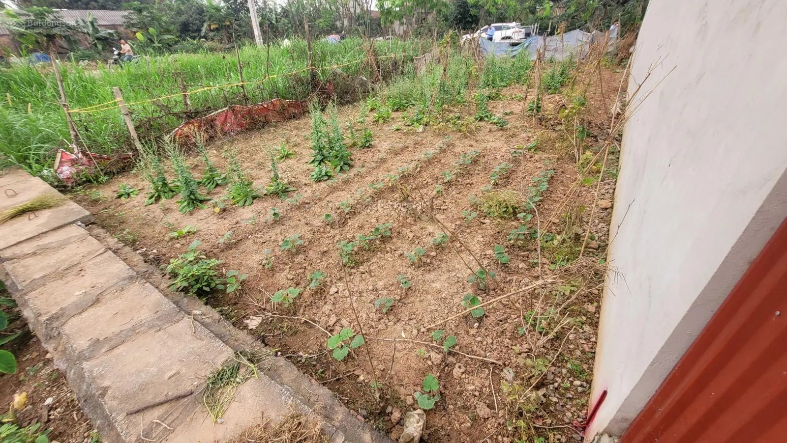 Ngân hàng thanh lý BĐS tại Khu Hạ Bạn, Phường Minh Nông, Việt Trì, Phú Thọ