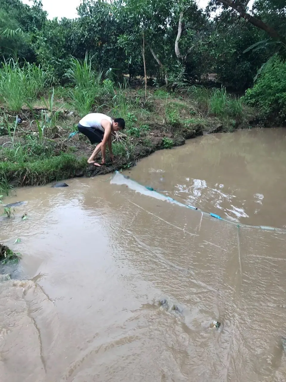 Cần bán 2.7ha mặt tiền nhựa Lê A, Bình Lộc giá chỉ 1.7tỷ/sào có 300m2 thổ cư. Liên hệ 0943 319 ***