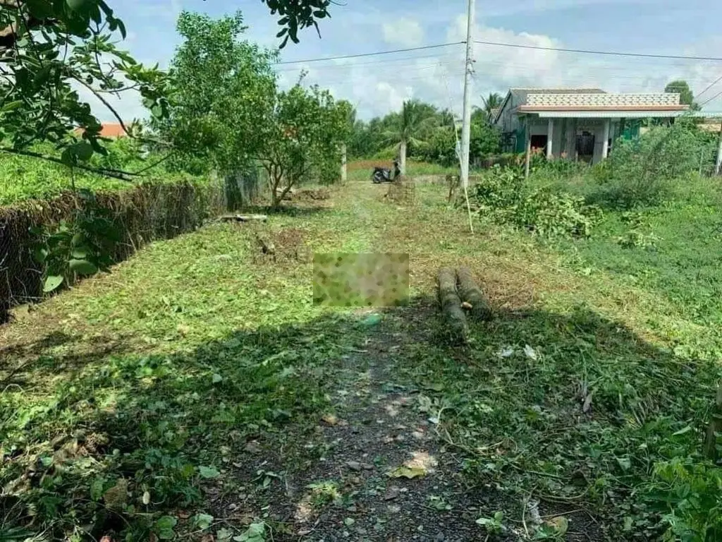 Hàng đẹp mt nguyễn văn trung bình tịnh