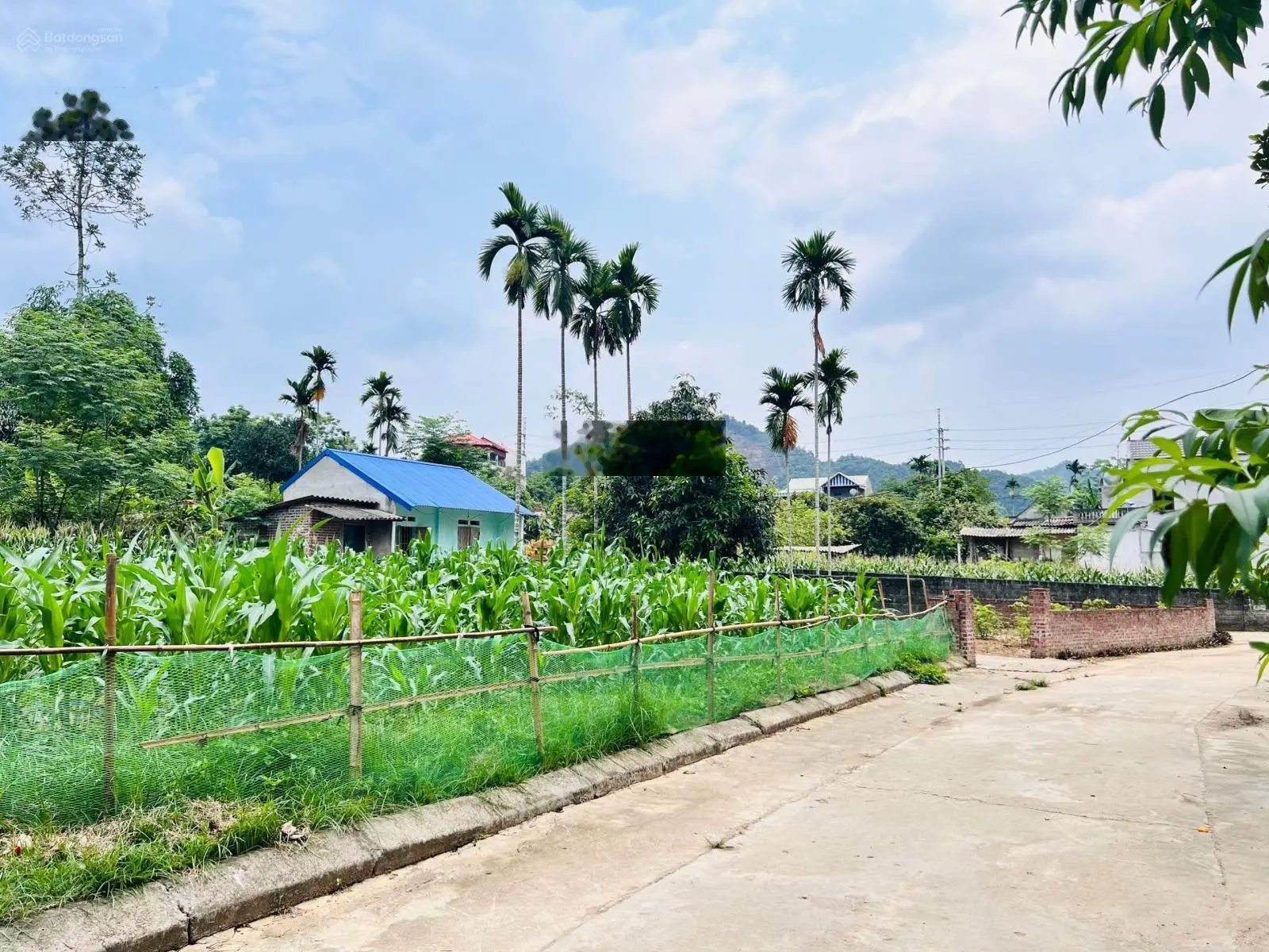 Bán đất lô góc vị trí đắc địa tại Đại Lộ Hòa Bình, Yên Trung, Thạch Thất. Diện tích 250m2, giá thương lượng