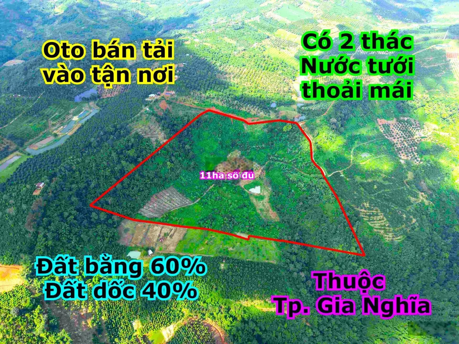 11ha đất rẫy đẹp giá rẻ thuộc thành phố Gia Nghĩa tỉnh Đắk Nông