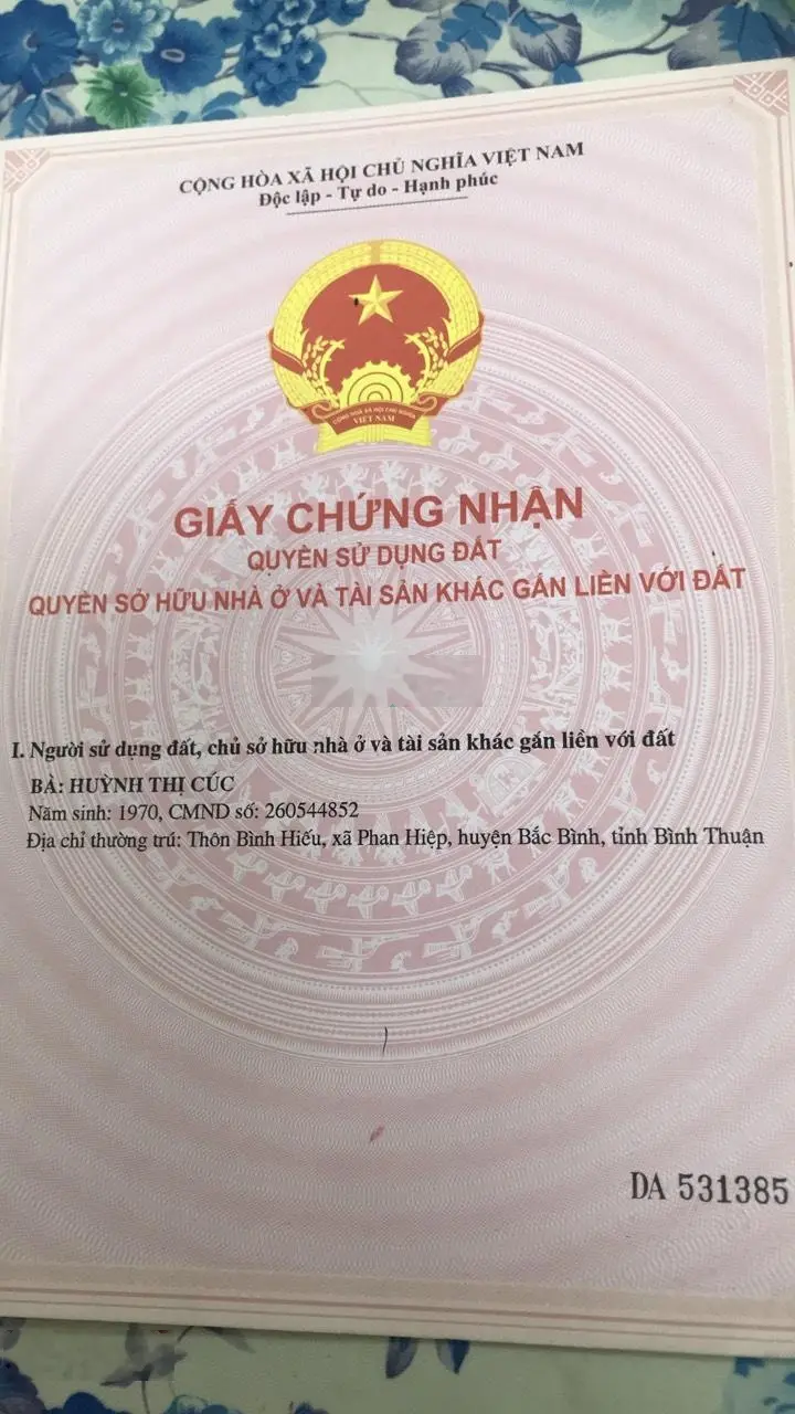 Bán đất nông nghiệp, đất trồng cây lâu năm