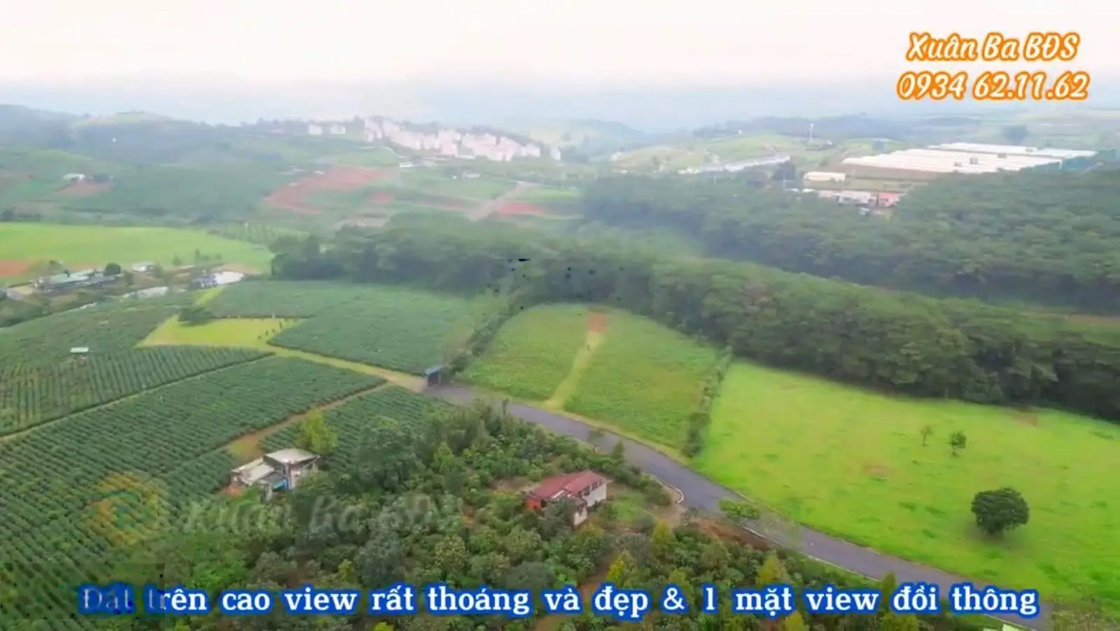 Chỉ 2,3 tỷ/1.000m2 đất siêu đẹp view rừng thông và đồi chè Tâm Châu Bảo Lộc