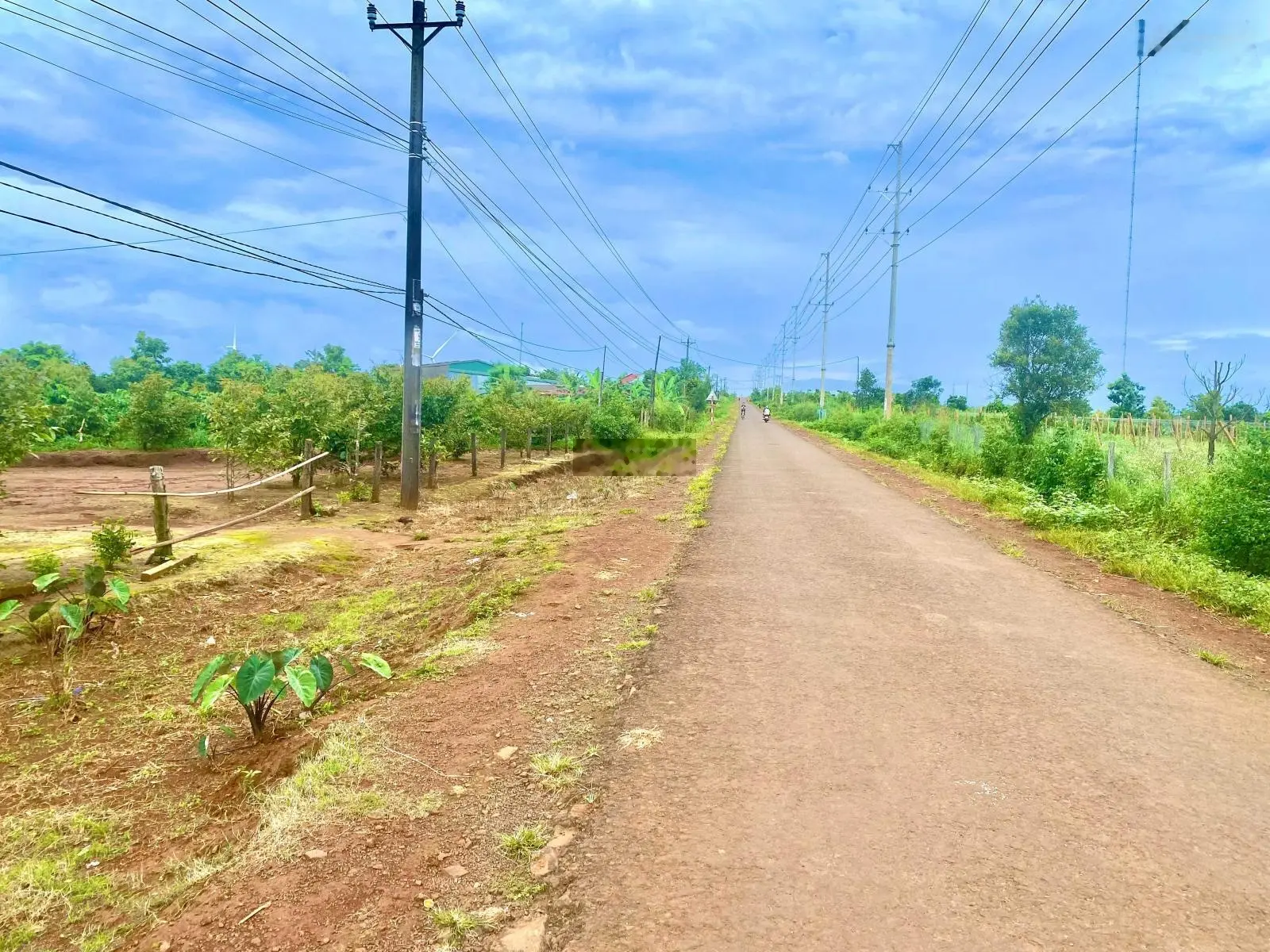 Cần bán 1178m2 đất mặt tiền đường 30 mét - cách trung tâm TP chỉ 15Km