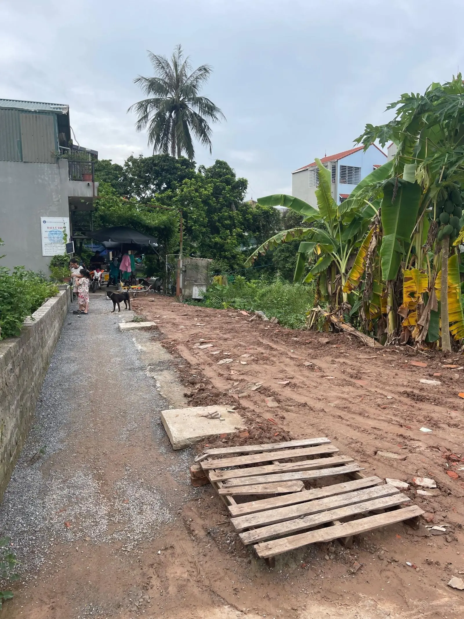 Văn phòng BĐS Đất Quý Land chào bán 2 lô đất làng nghề Dư Dụ, Thanh Thùy, Thanh Oai