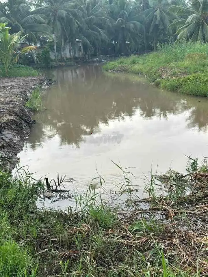 142,5m2 đất THỔ - Cù Lao Tân Phú Đông, Cách Sg70km, mát mẻ giá 155tr