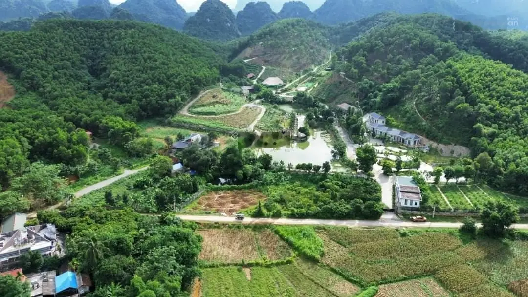 Cần chuyển nhượng 7,6 ha đất nghỉ dưỡng tại thị trấn Ba Đồi, Lạc Thủy, Hòa Bình