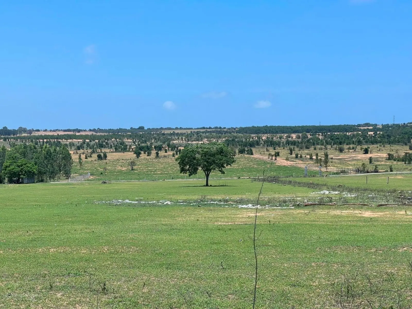 Bán lô đất mặt tiền đường liên huyện Hồng Thái, Bắc Bình lô nhỏ 5200 tặng farm - giá 1 tỷ 3