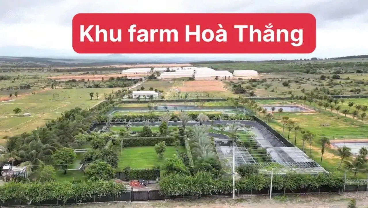 2ha1 Lô 2 mặt tiền liên huyện khu trang trại dưa lưới Hoà Thắng, giá 80k/m2, điện đường đã có