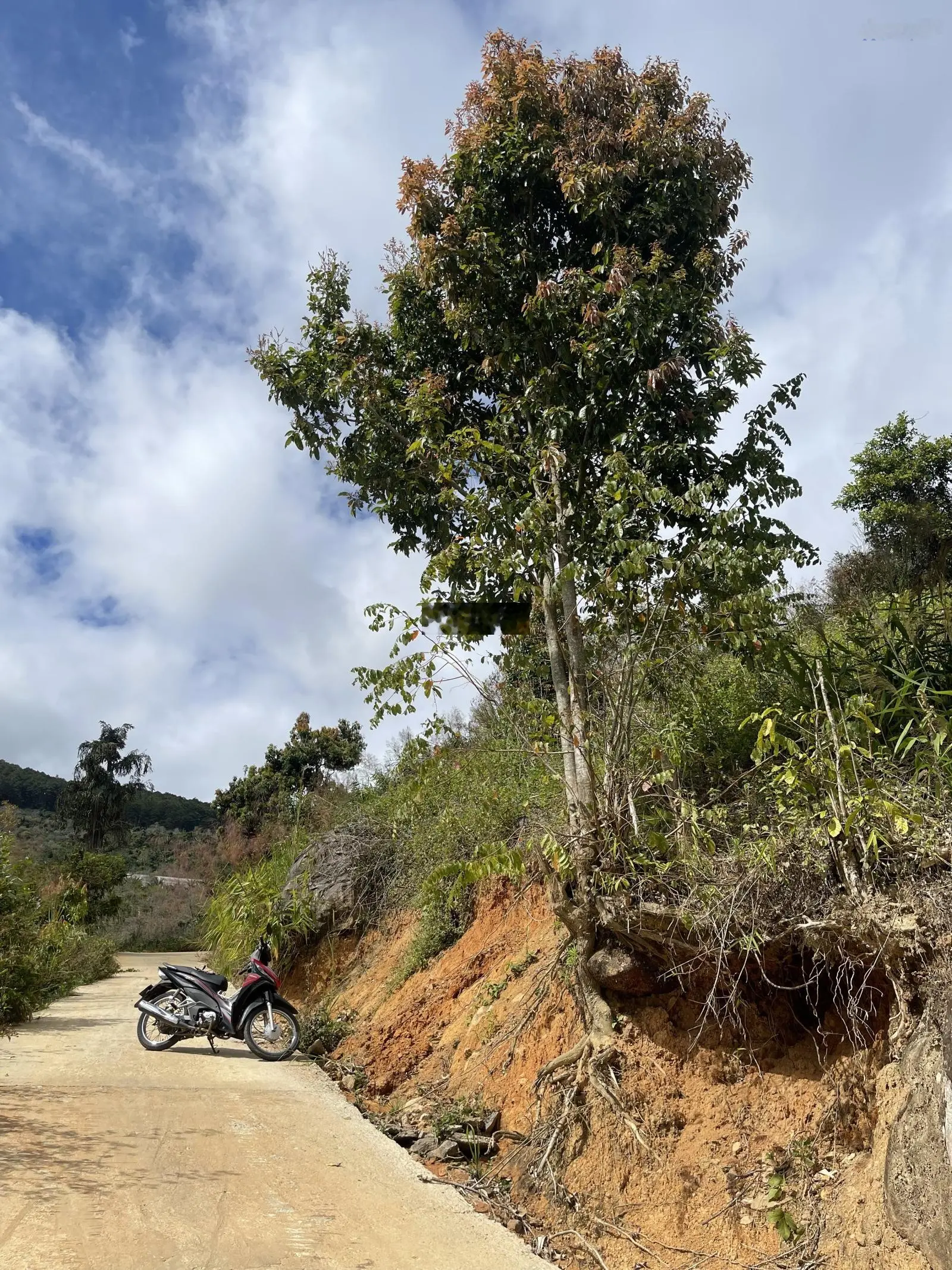 ~ 5000m Đất toạ lạc tại xã Trạm Hành, thành phố Đà Lạt, tỉnh Lâm Đồng .