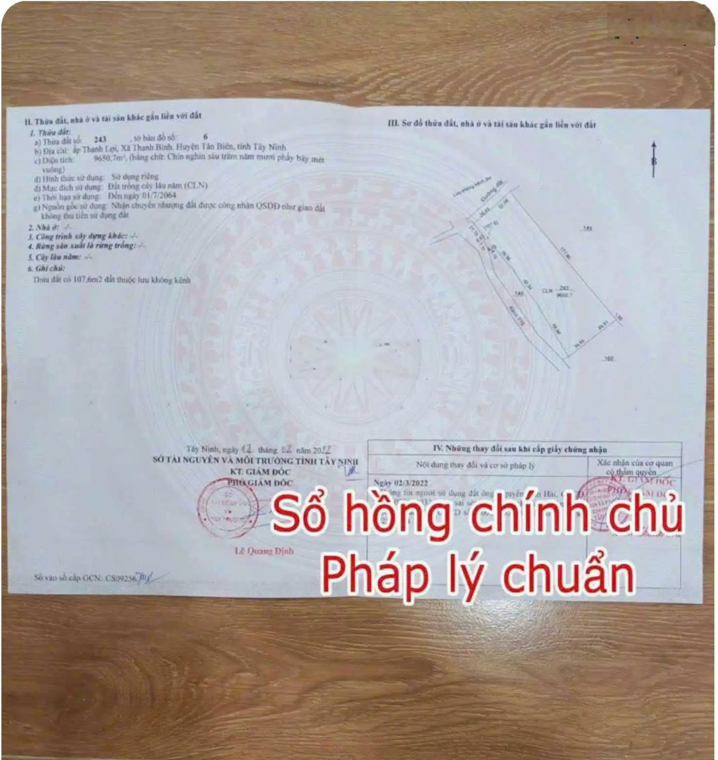 Cần bán đất có vườn điều, giá chỉ 2 tỷ 4 tại Tân Biên, Tây Ninh, diện tích lớn